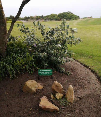 Nature, Ball Game, Sport, Golfing, Plant, Garden, Mossel Bay Golf Club, Mossel Bay Golf Estate, Mossel Bay, 6500