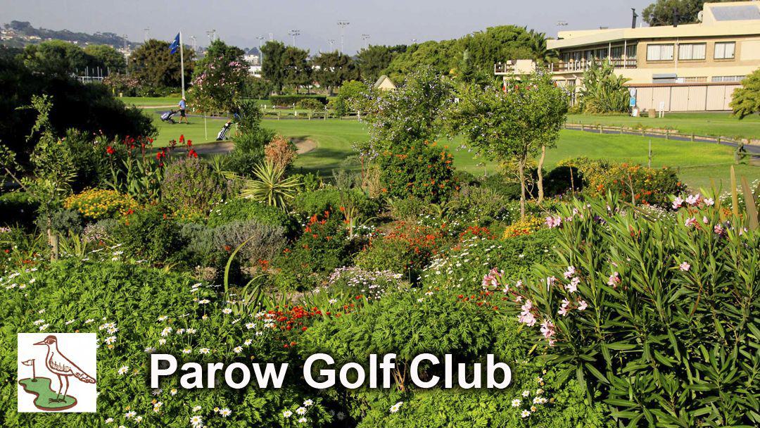 Nature, Ball Game, Sport, Golfing, Plant, Garden, Parow Golf Club, Frans Conradie Dr, Golf Course, Cape Town, 7500