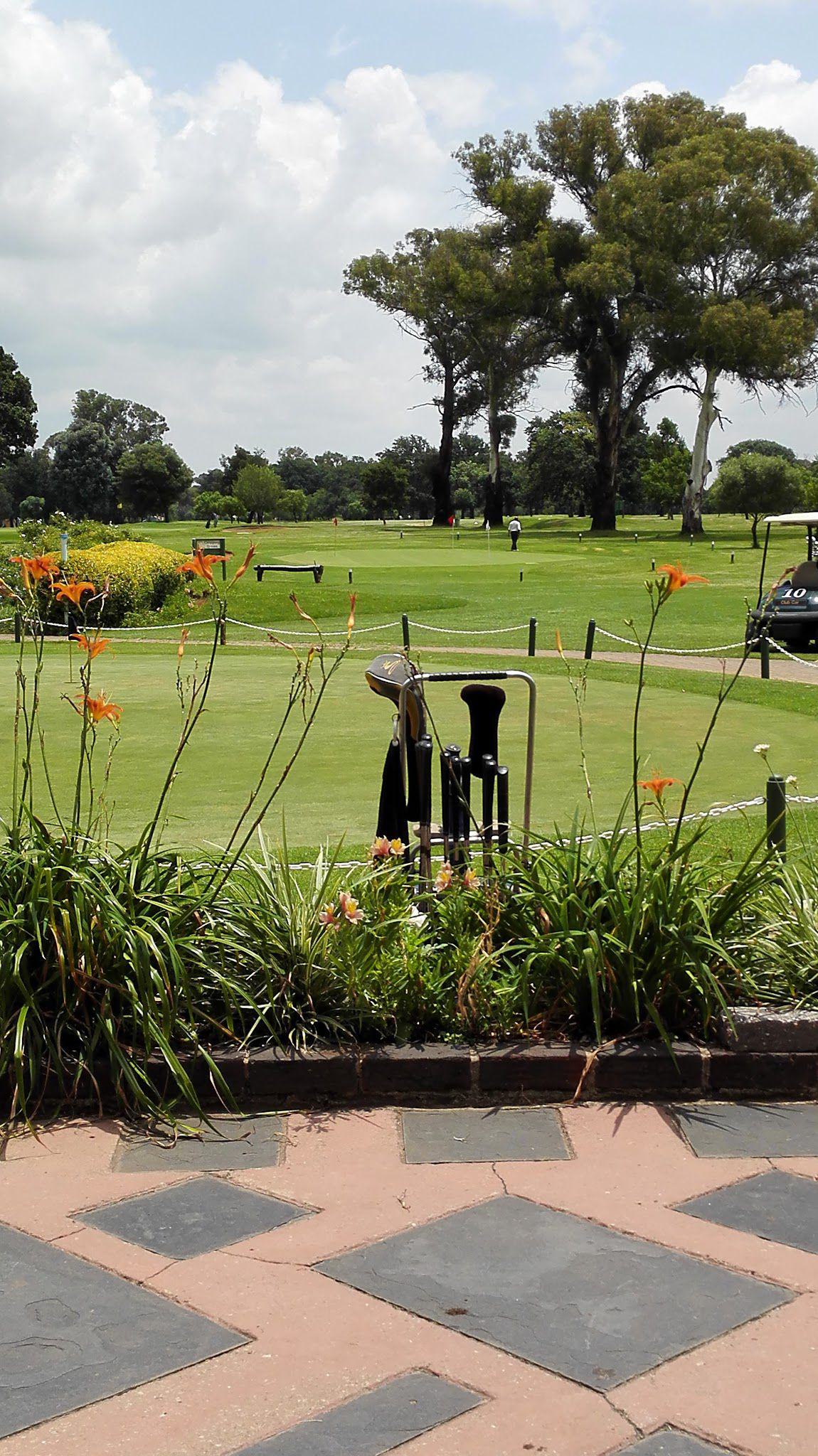 Nature, Ball Game, Sport, Golfing, Plant, Garden, Pollak Park Golf Club, Tonk Meter Dr, Pollak Park, Springs, 1559