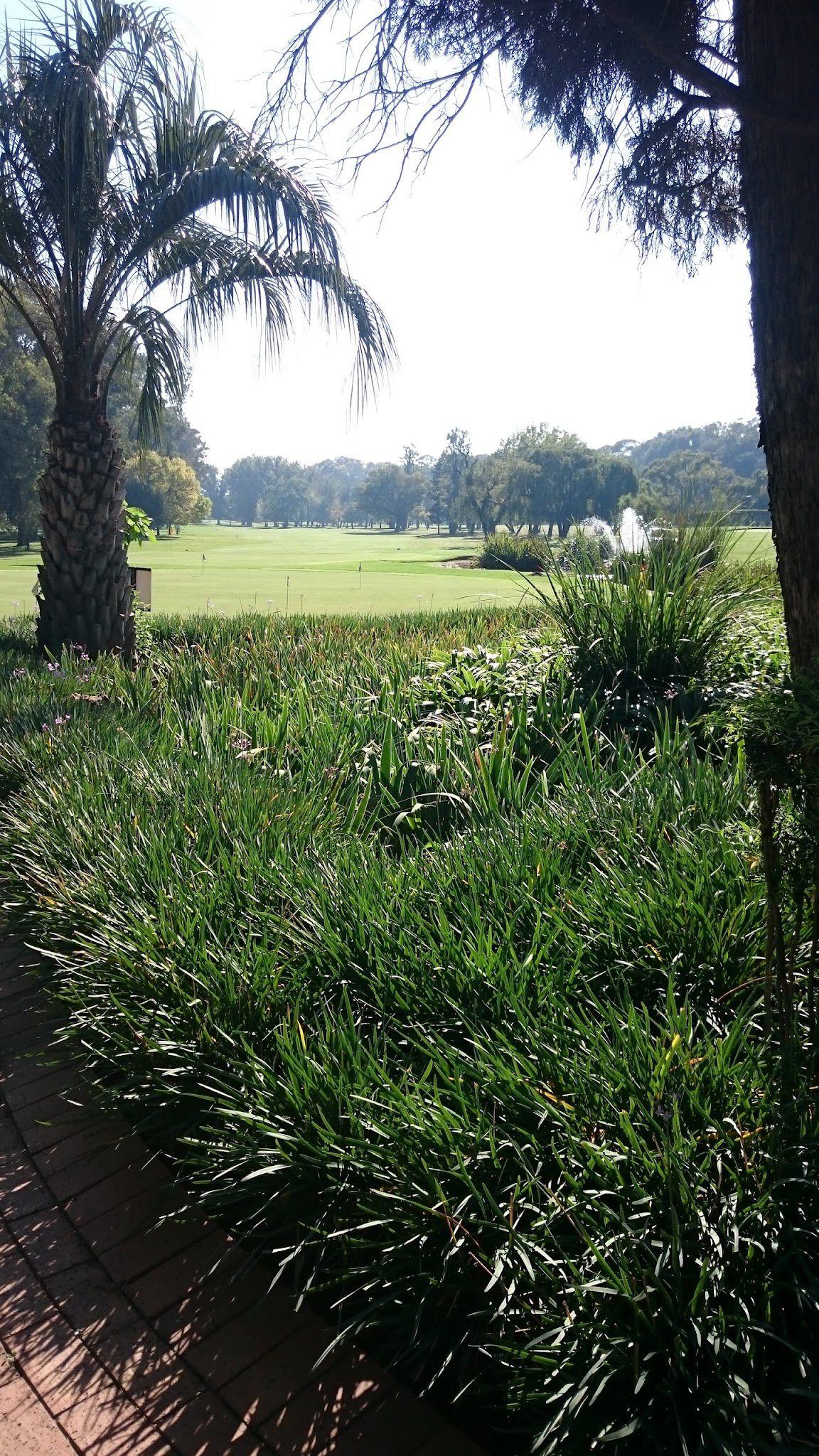 Nature, Ball Game, Sport, Golfing, Plant, Garden, Reading Country Club - Golf Course and Bowls, 1449 40 Fore St, New Redruth, Alberton, 1449