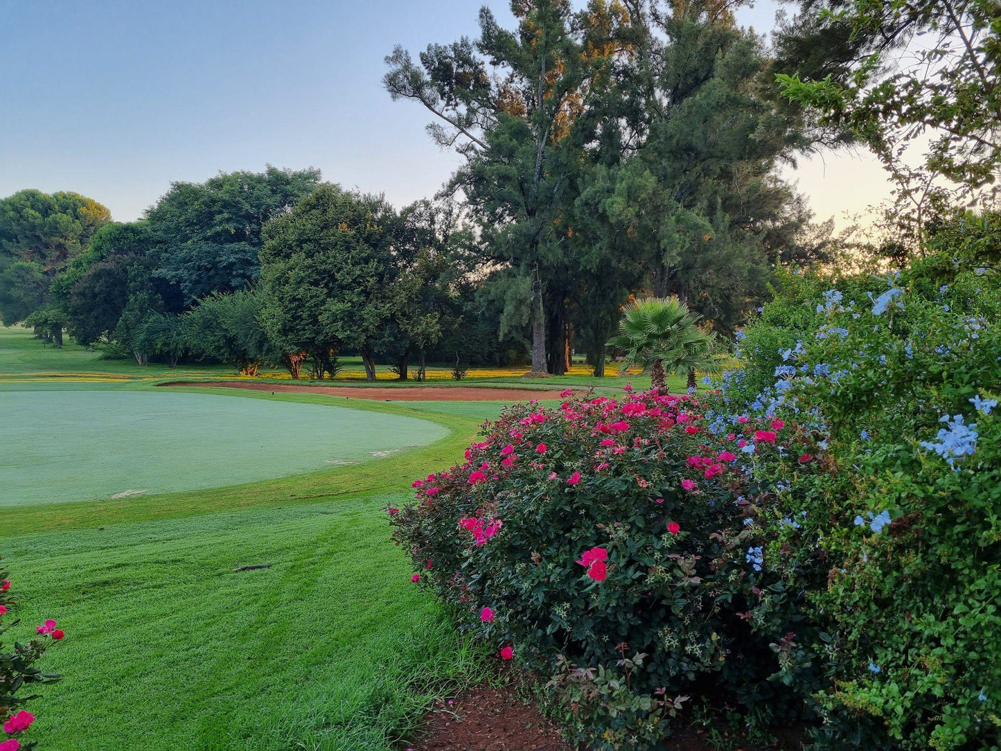 Nature, Ball Game, Sport, Golfing, Plant, Garden, Services Golf Club., 52 Jacobus Opperman St, Pretoria Townlands 351-Jr, Pretoria, 0187