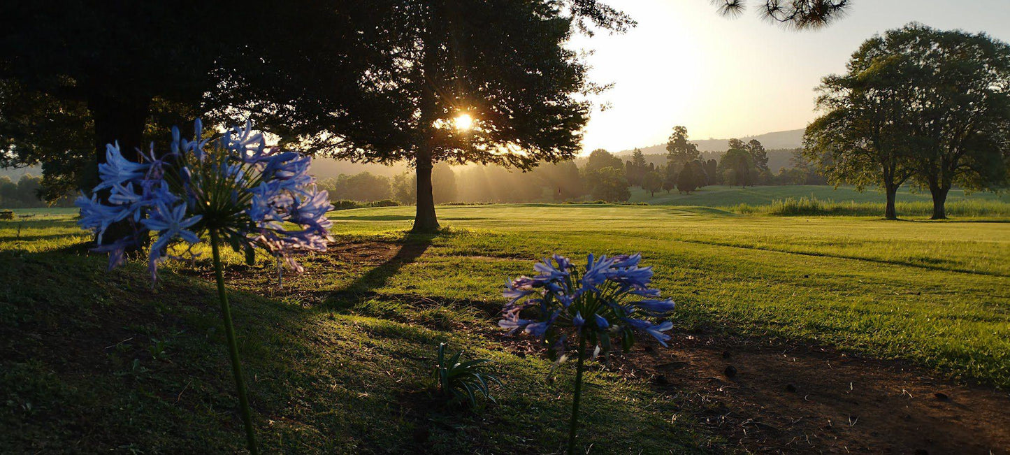 Nature, Ball Game, Sport, Golfing, Plant, Garden, Sunset, Sky, Richmond Country Club, R56 Ixopo rd, Richmond - KZN, 3780