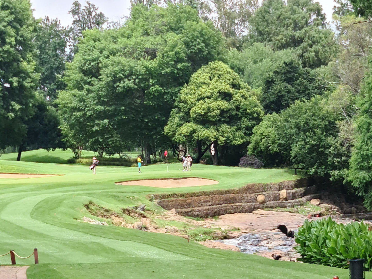 Nature, Ball Game, Sport, Golfing, Plant, Garden, The River Club Golf Course, Links Rd, Driefontein 41-Ir, Sandton, 2191