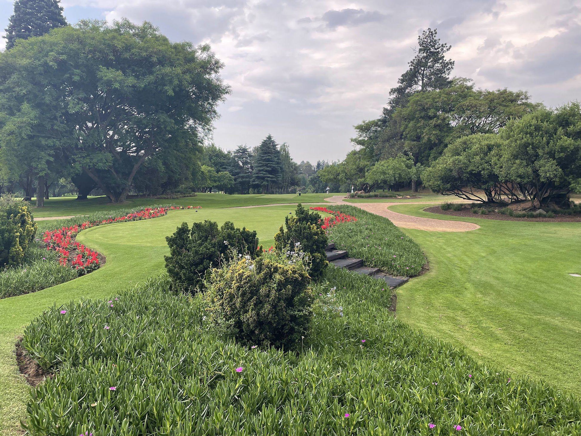 Nature, Ball Game, Sport, Golfing, Plant, Garden, The River Club Golf Course, Links Rd, Driefontein 41-Ir, Sandton, 2191