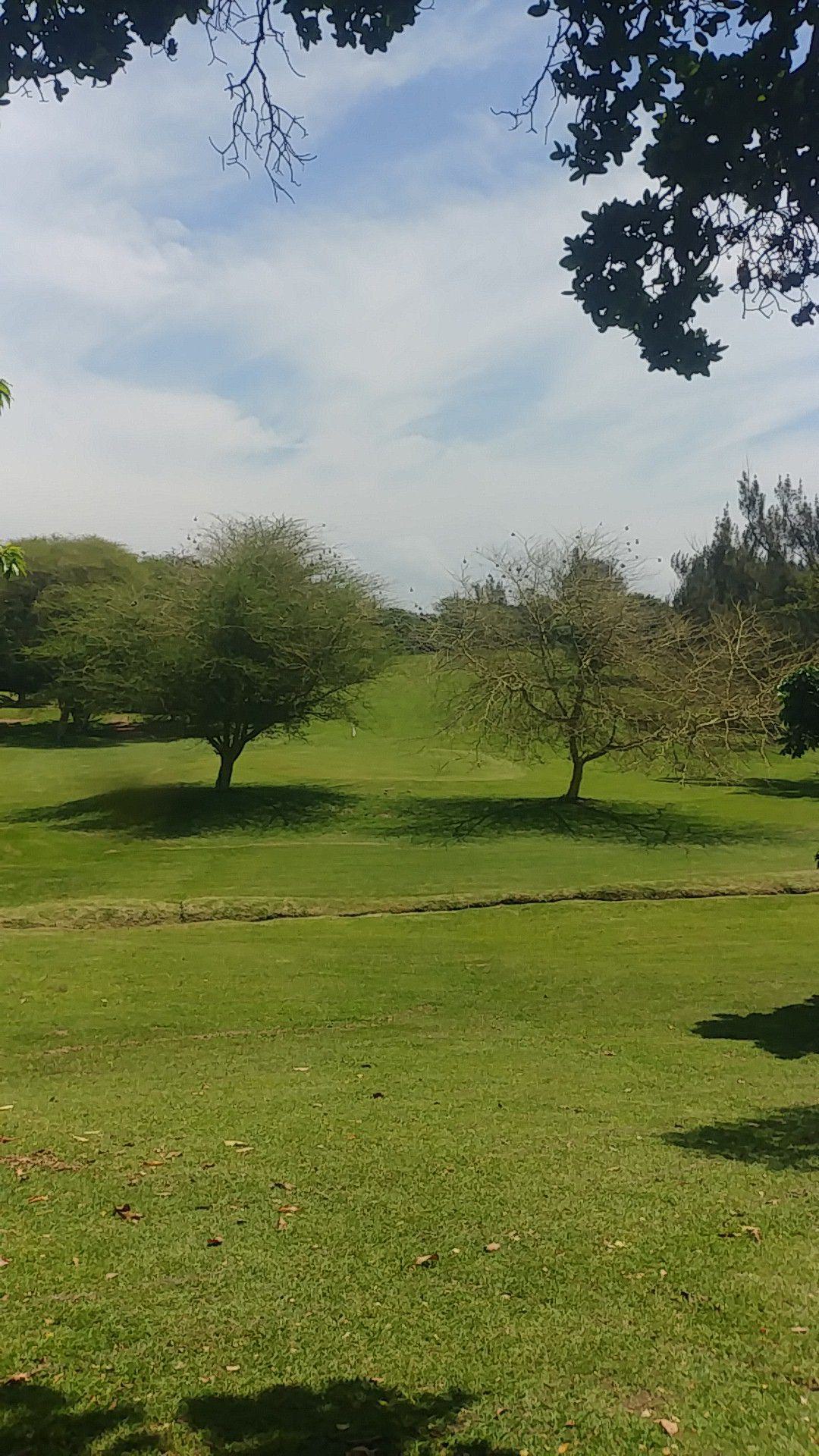 Nature, Ball Game, Sport, Golfing, Plant, Garden, Umkomaas Golf Club, 6 Moodie St, Umkomaas, 4170