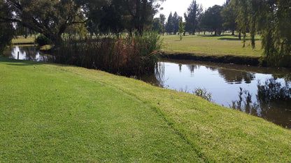 Nature, Ball Game, Sport, Golfing, Plant, Garden, Waters, River, Meyerton Golf Club, Carvalho St &, Pierneef Blvd, Meyerton, 1961