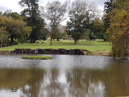 Nature, Ball Game, Sport, Golfing, Plant, Garden, Waters, River, Observatory Club, Steyn St, Observatory, Johannesburg, 2198