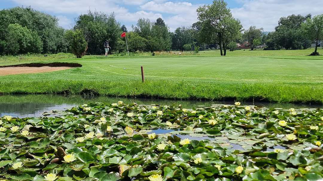 Nature, Ball Game, Sport, Golfing, Plant, Garden, Waters, River, South Downs Club, 70 Albaster Ave, Mayfield Park, Johannesburg South, 2091