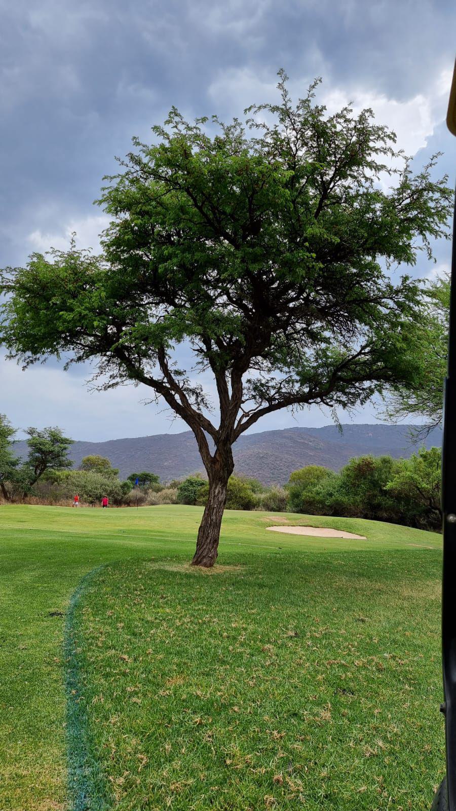 Nature, Ball Game, Sport, Golfing, Plant, Kameeldoring Golf Club, HF Verwoerd Road, Mokopane, 0601