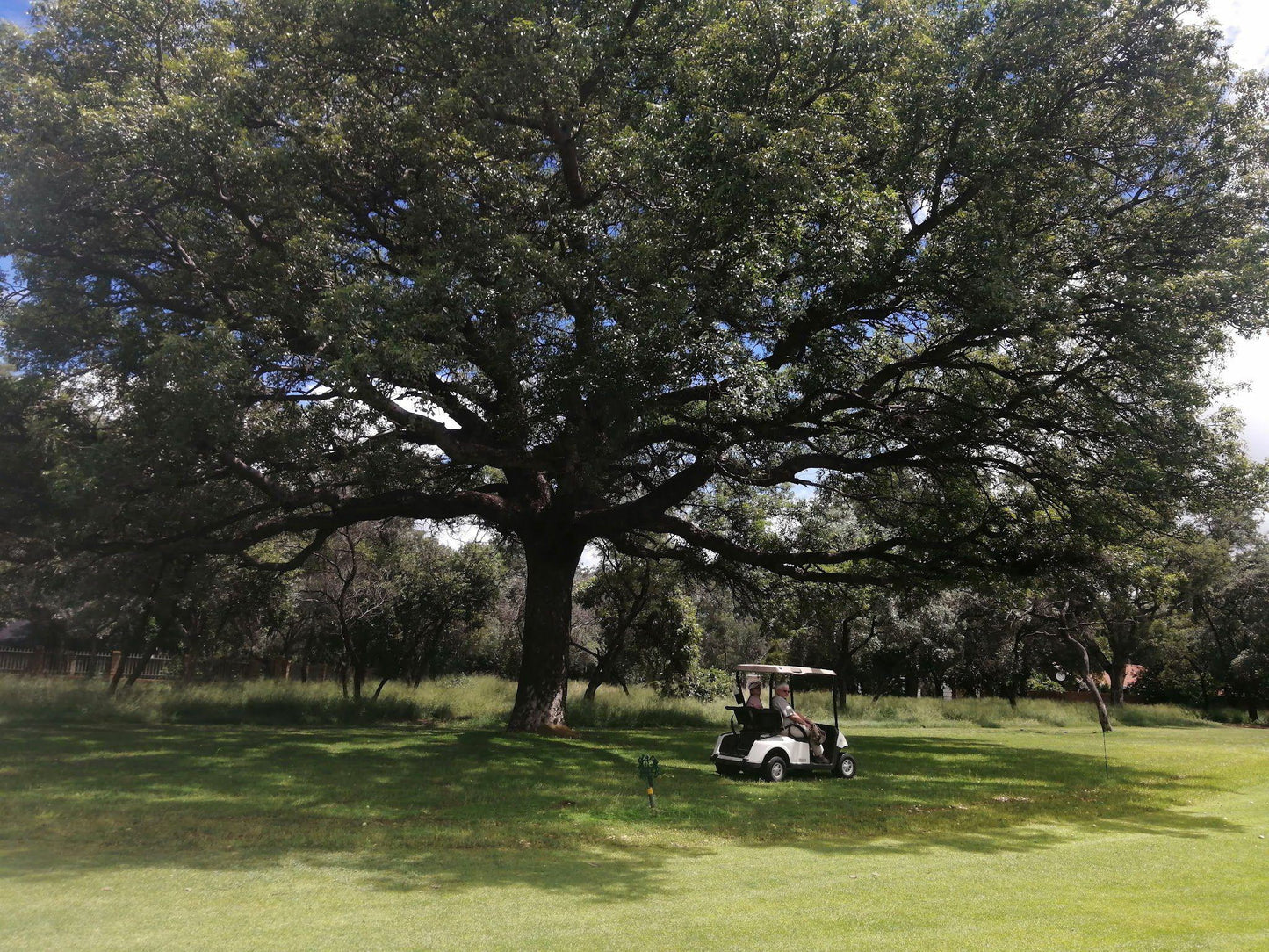 Nature, Ball Game, Sport, Golfing, Plant, Mogol Golf Club, Wells St, Lephalale, 0557