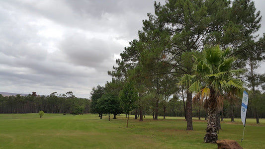 Nature, Ball Game, Sport, Golfing, Plant, Riversonderend Golf Club, Hoof Road, Riviersonderend, 7250