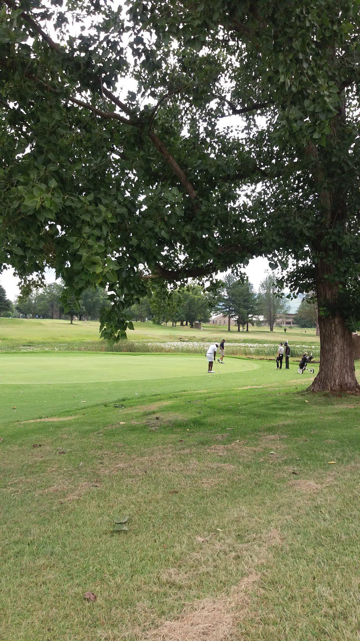 Nature, Ball Game, Sport, Golfing, Plant, Wood, Ball, Tree, Dundee Golf Club, 1 Tandy St, Dundee, 3000