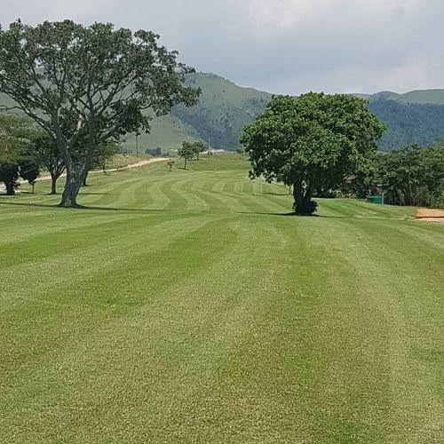 Nature, Ball Game, Sport, Golfing, Plant, Wood, Field, Agriculture, Tree, Badplaas Golf Club & Lodge, Off R38 Badplaas, eManzana, 1190