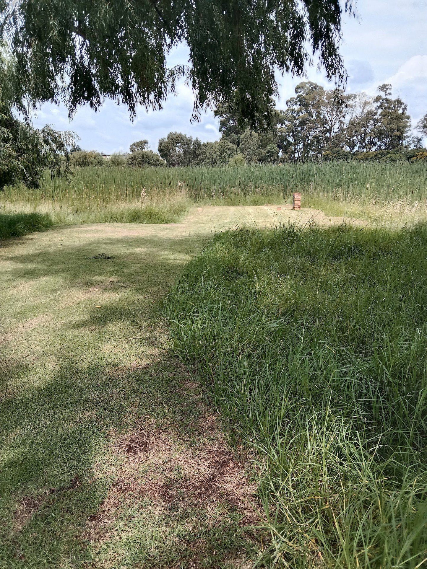 Nature, Ball Game, Sport, Golfing, Plant, Wood, Garden, Field, Agriculture, Meadow, Lowland, Tree, Koster Golfklub, Petisie Street, Koster, 0348