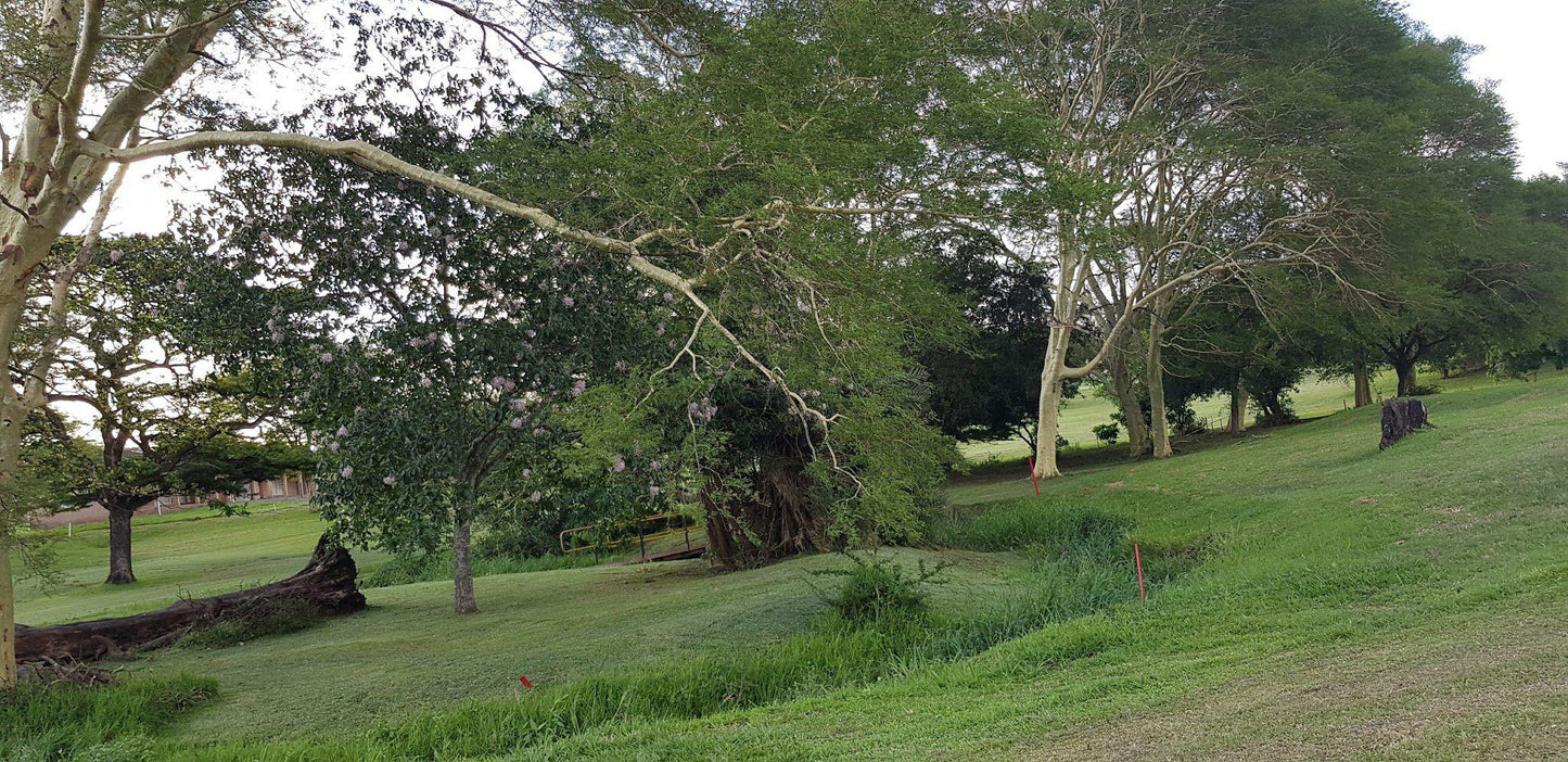 Nature, Ball Game, Sport, Golfing, Plant, Wood, Garden, Tree, Amatikulu Country Club, Amatikulu