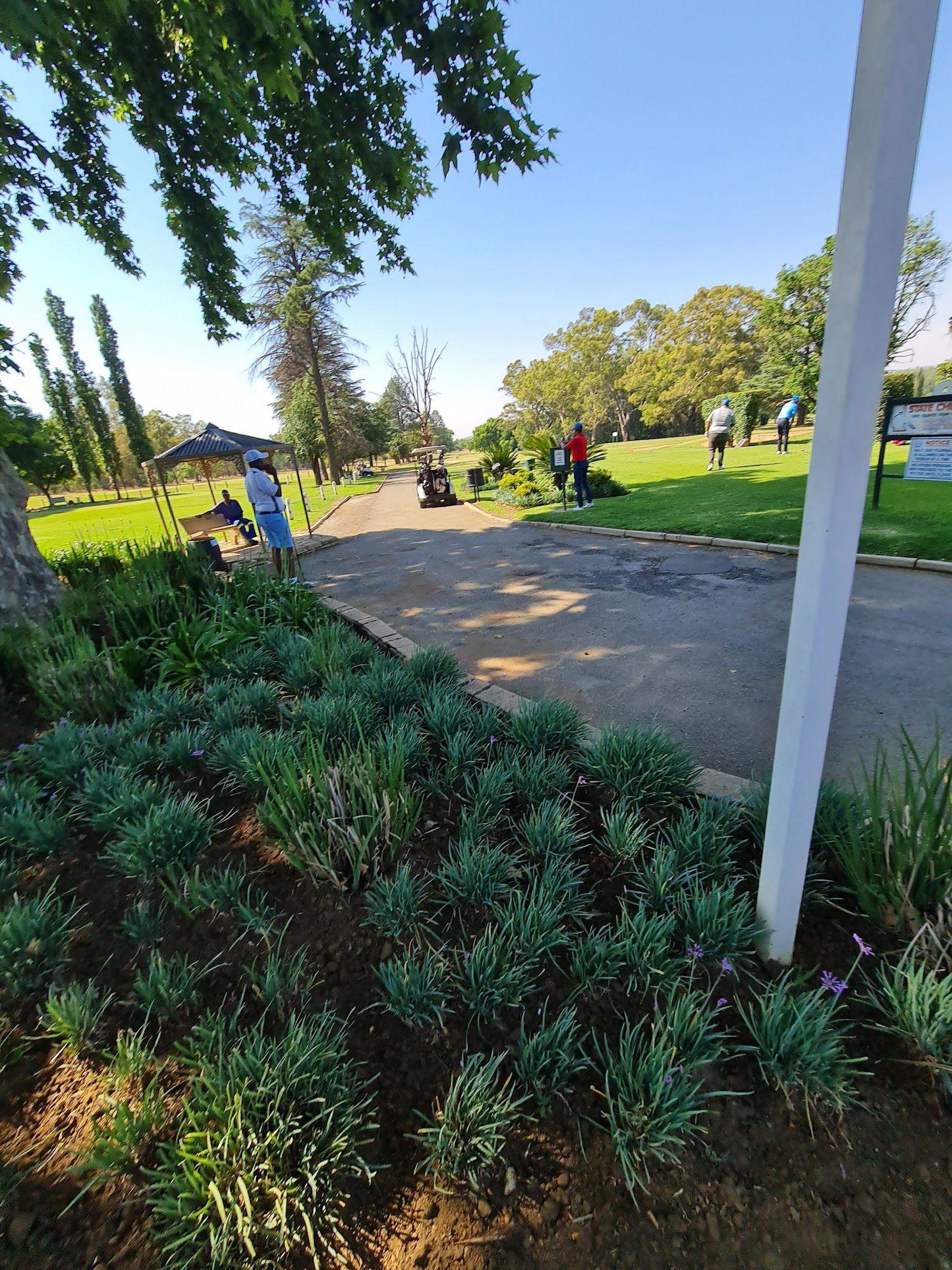 Nature, Ball Game, Sport, Golfing, Plant, Wood, Garden, Tree, South Downs Club, 70 Albaster Ave, Mayfield Park, Johannesburg South, 2091