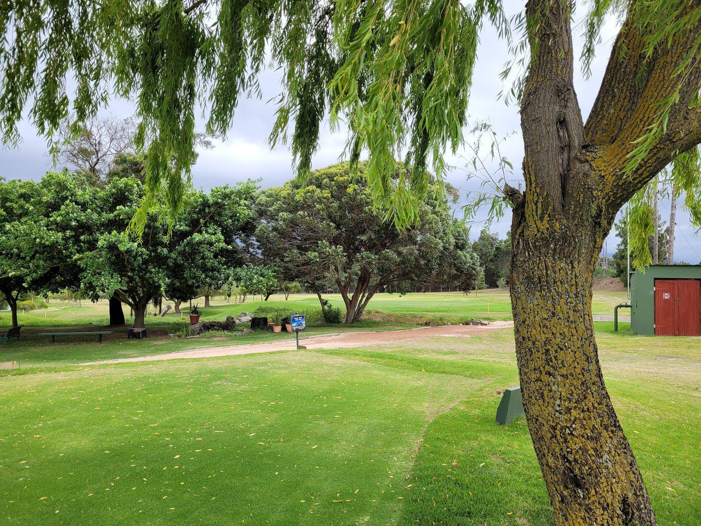 Nature, Ball Game, Sport, Golfing, Plant, Wood, Garden, Tree, Theewaterskloof Golf Course, Theewaterskloof Golf Estate, Villiersdorp, 6848