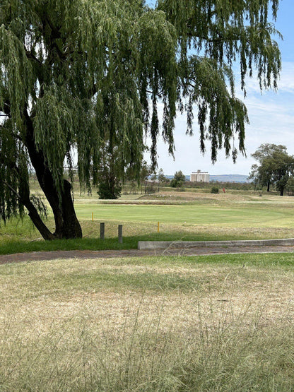 Nature, Ball Game, Sport, Golfing, Plant, Wood, Lowland, Tree, Nigel Golf Club, Old, Springs Rd, Nigel, 1491