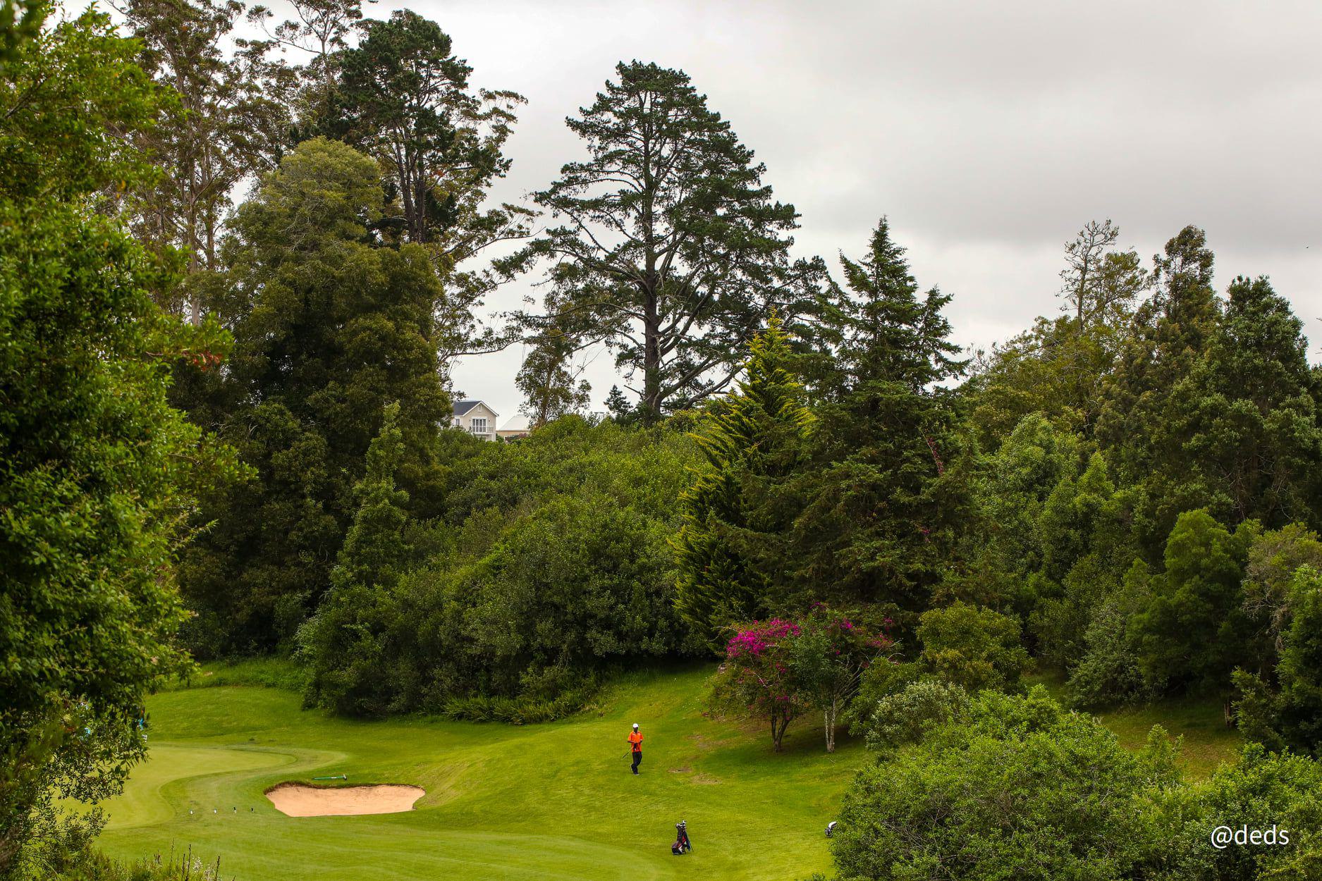 Nature, Ball Game, Sport, Golfing, Plant, Wood, Tree, George Golf Club, 16 C. J. Langenhoven Rd, George Central, George, 6530