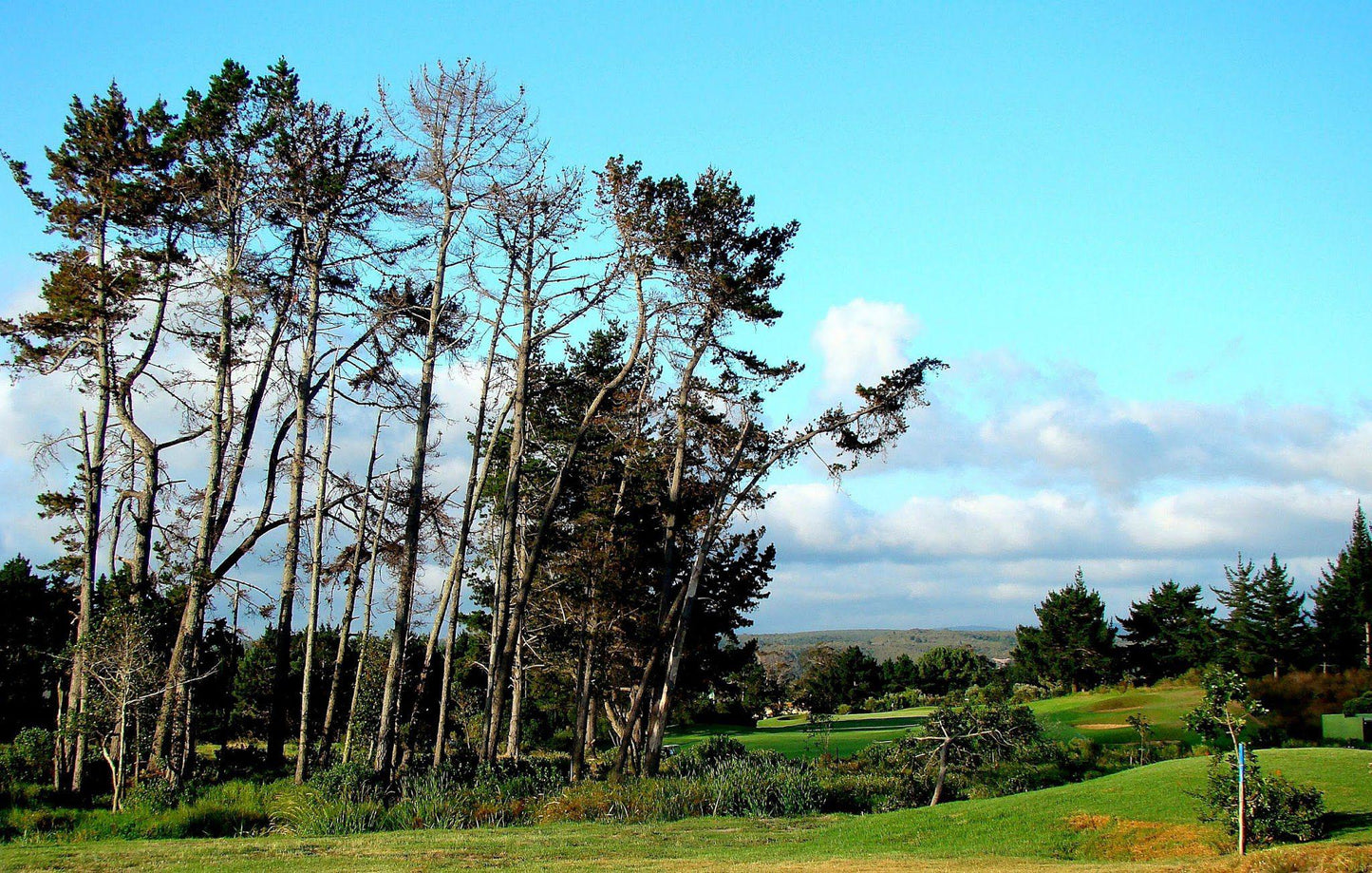 Nature, Ball Game, Sport, Golfing, Plant, Wood, Tree, Goose Valley Golf Club, N2, Goose Valley Golf Estate, Plettenberg Bay, 6600