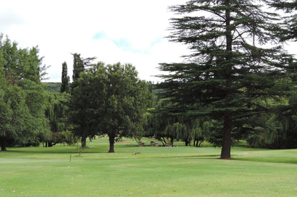 Nature, Ball Game, Sport, Golfing, Plant, Wood, Tree, Harrismith Golf Club, 1 Laksman St, Harrismith, 9880