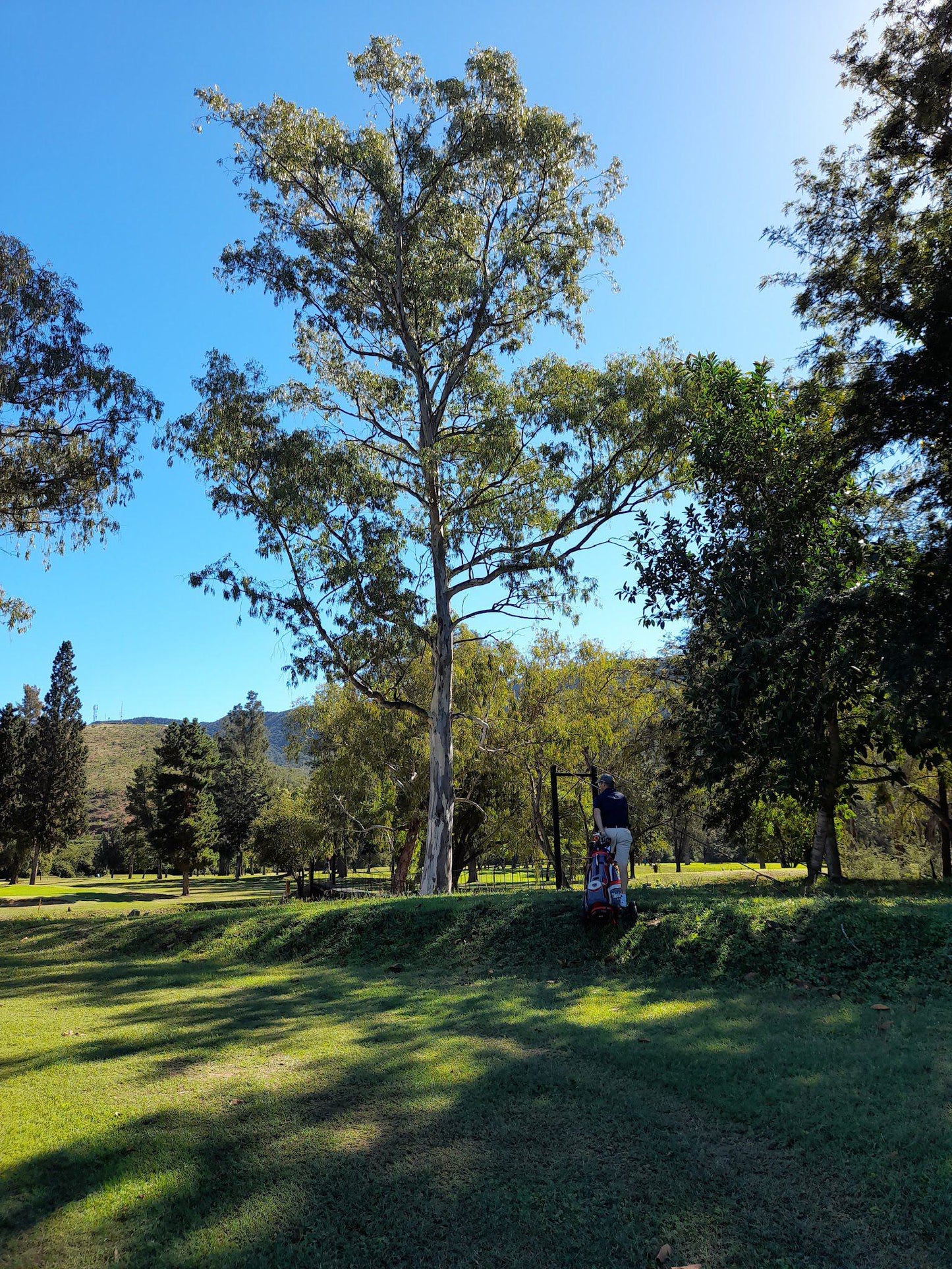 Nature, Ball Game, Sport, Golfing, Plant, Wood, Tree, Kirkwood Golf Club, Uye Rd, Kirkwood, 6120