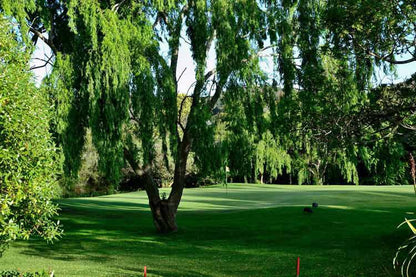 Nature, Ball Game, Sport, Golfing, Plant, Wood, Tree, Knysna Golf Club, Howard St, Hunters Home, Knysna, 6570