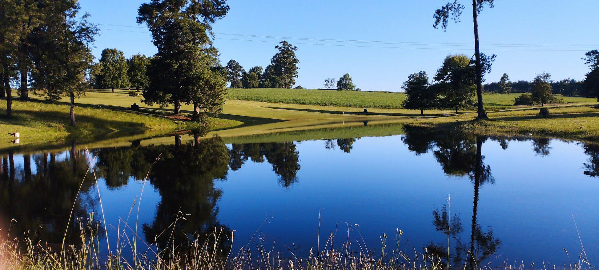 Nature, Ball Game, Sport, Golfing, Plant, Wood, Tree, Richmond Country Club, R56 Ixopo rd, Richmond - KZN, 3780