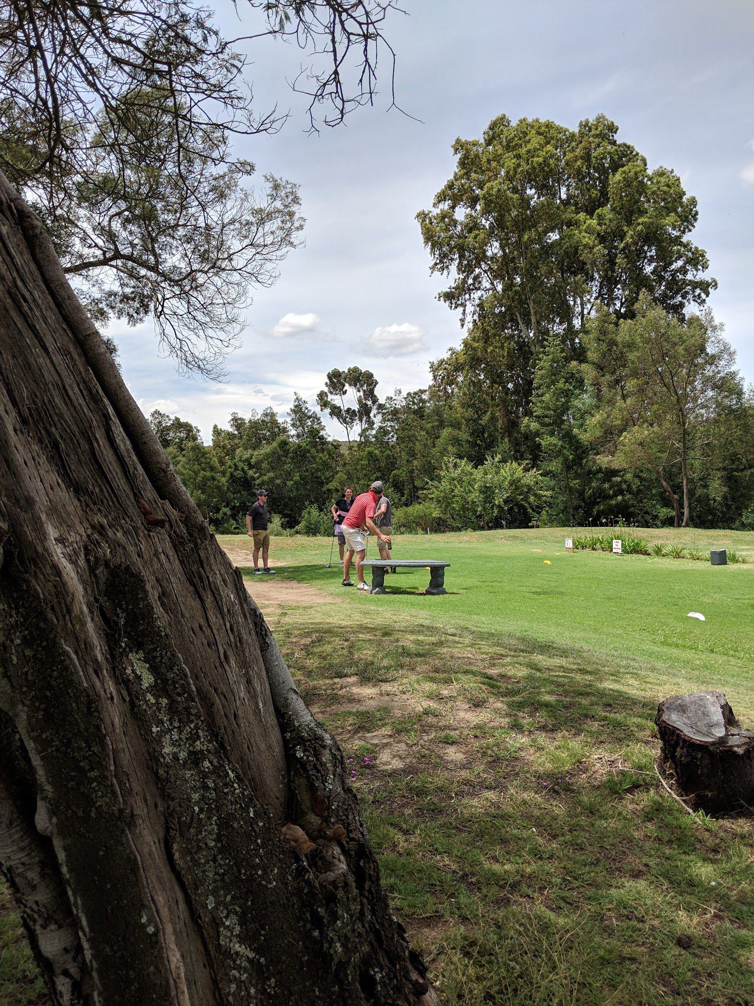 Nature, Ball Game, Sport, Golfing, Plant, Wood, Tree, Riversdale Golf Club, Tom Stander Drive, Riversdale, 6670