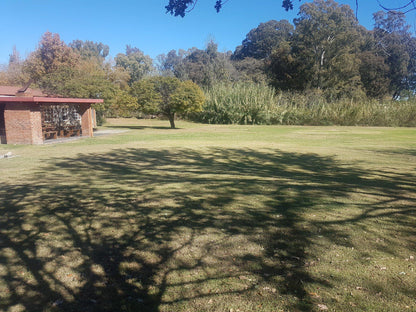 Nature, Ball Game, Sport, Golfing, Plant, Wood, Tree, Senekal Golf Club, Senekal, 9600