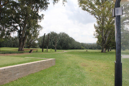 Nature, Ball Game, Sport, Golfing, Plant, Wood, Tree, South Downs Club, 70 Albaster Ave, Mayfield Park, Johannesburg South, 2091