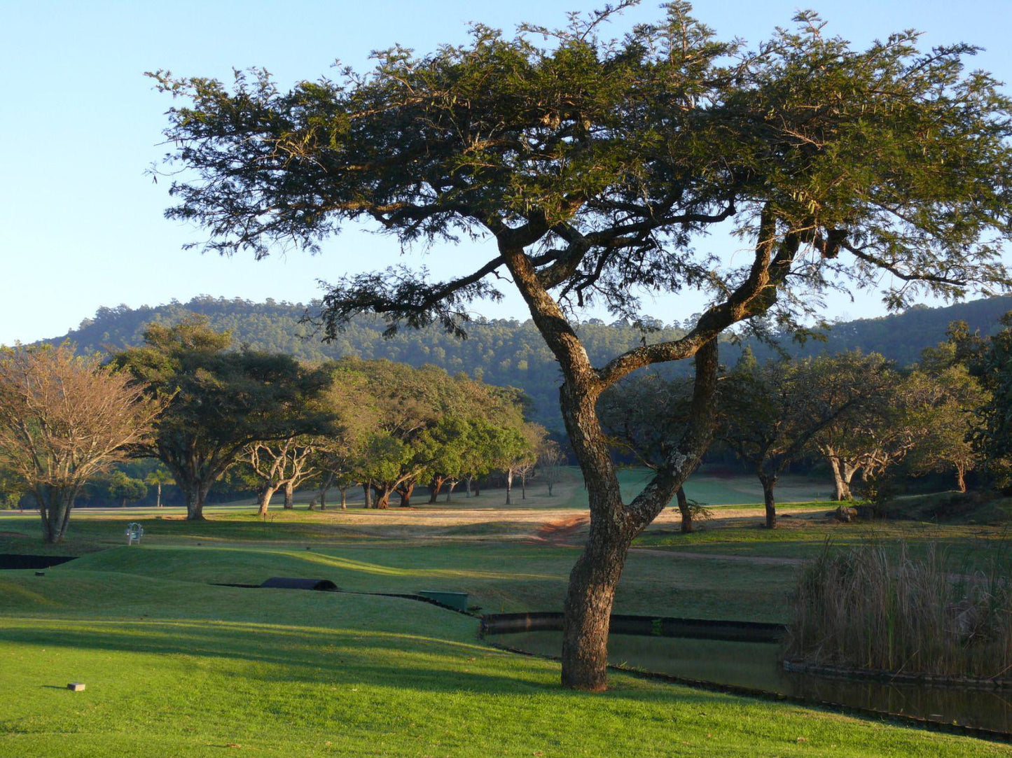 Nature, Ball Game, Sport, Golfing, Plant, Wood, Tree, Soutpansberg Golf Club, Louis Trichardt Memorial Hospital-ER Hospital St, Louis Trichardt, 0920