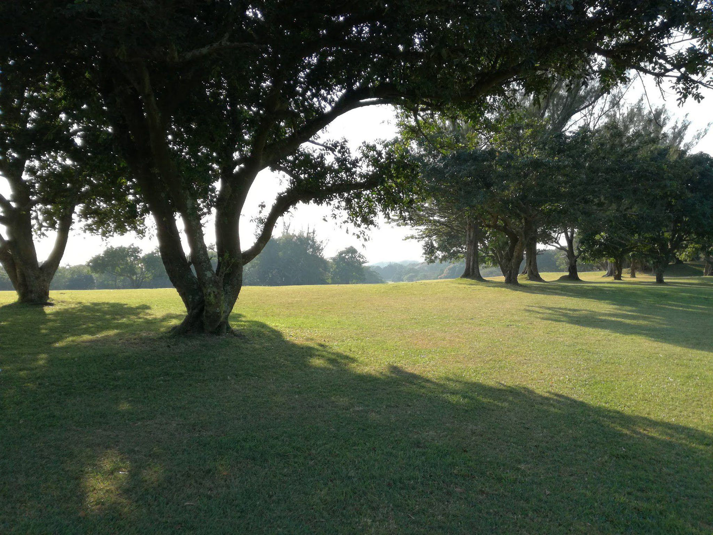 Nature, Ball Game, Sport, Golfing, Plant, Wood, Tree, Umkomaas Golf Club, 6 Moodie St, Umkomaas, 4170