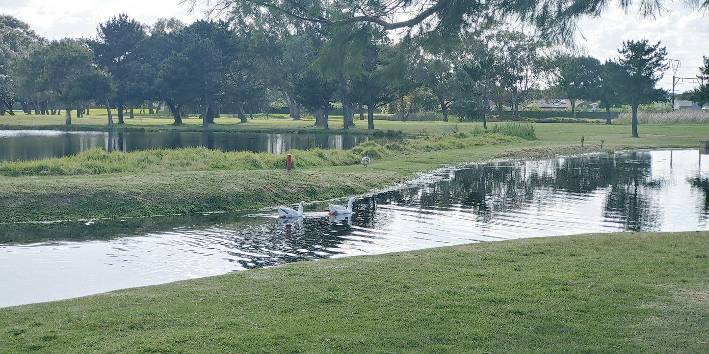 Nature, Ball Game, Sport, Golfing, Plant, Wood, Waters, Lake, Tree, River, Royal Cape Golf Club, 174 Ottery Rd, Wynberg, Cape Town, 7800