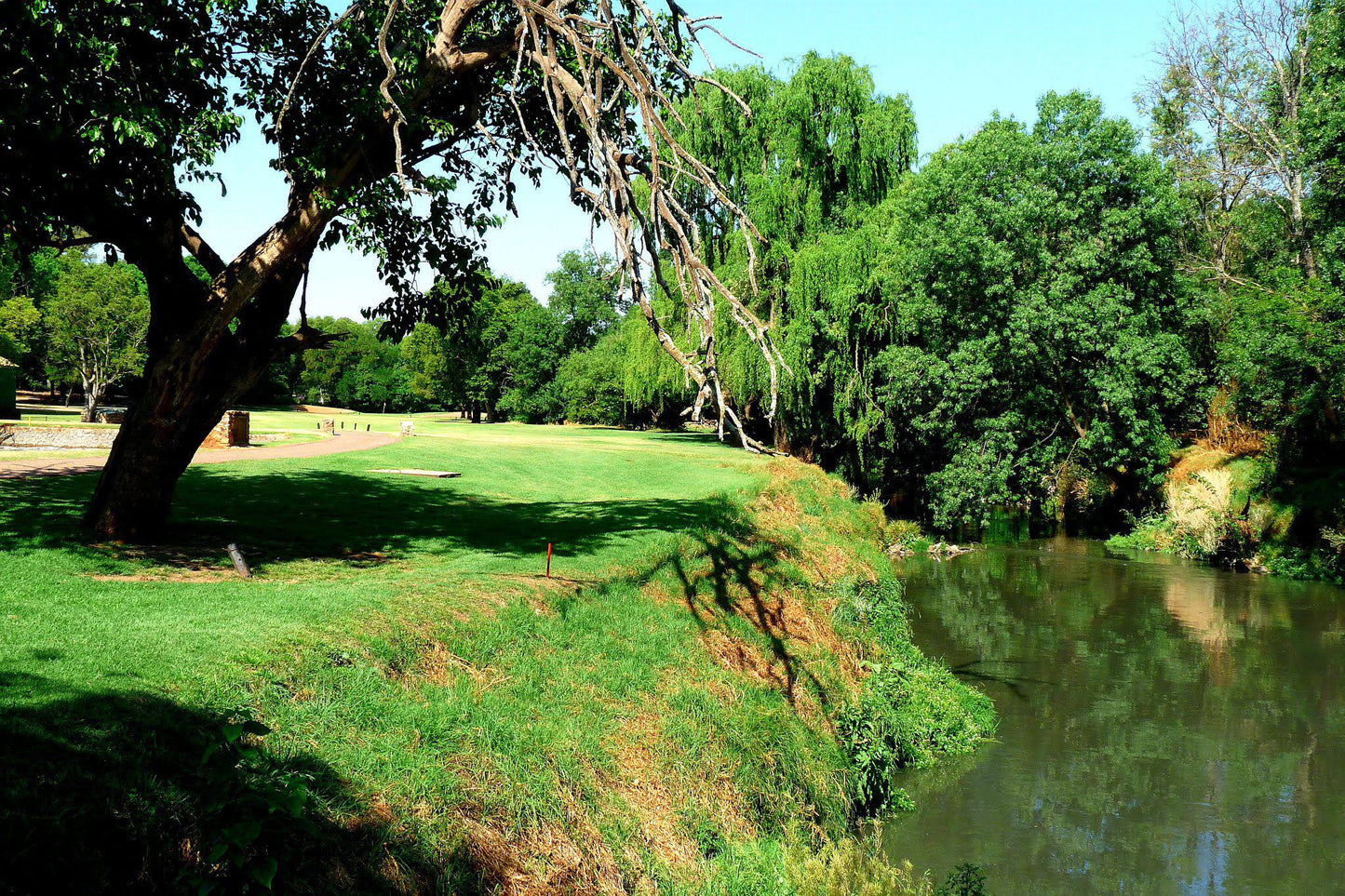 Nature, Ball Game, Sport, Golfing, Plant, Wood, Waters, Tree, River, Irene Country Club, 1 MI8, Doringkloof, Centurion, 0157