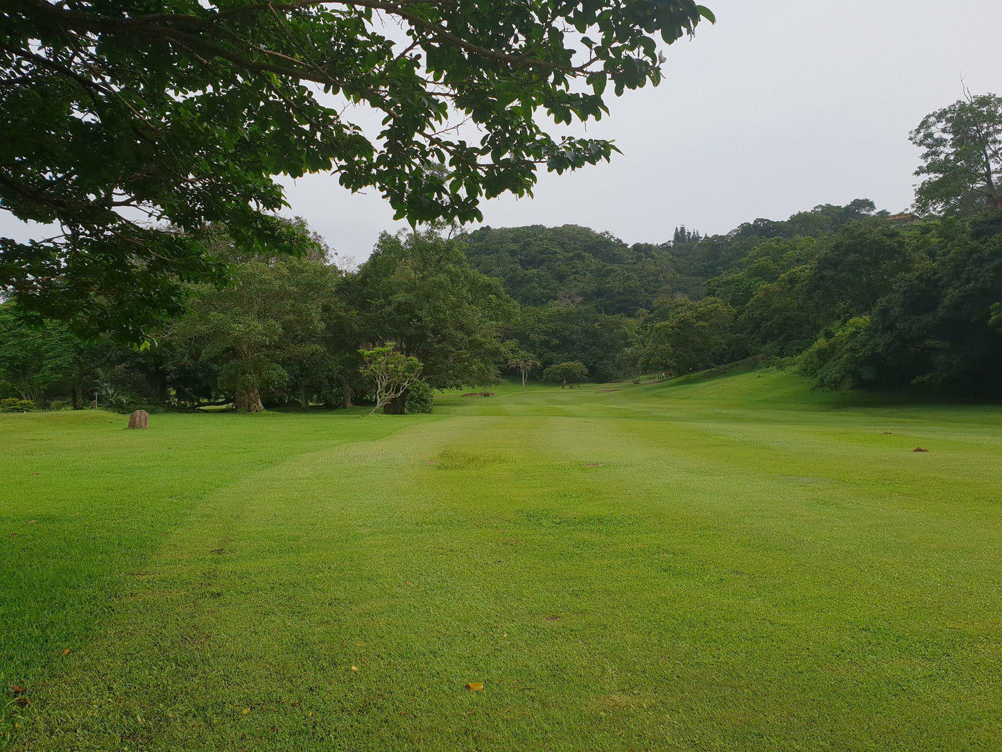 Nature, Ball Game, Sport, Golfing, Port Shepstone Golf Course, Marine Dr, Oslo Beach, Port Shepstone, 4240