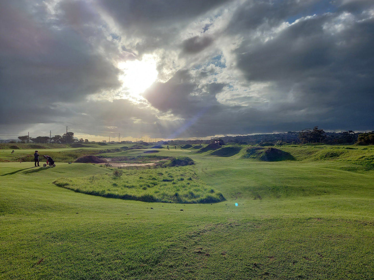 Nature, Ball Game, Sport, Golfing, Somerset West Golf Club, Rue De Jacqueline, Somerset West Country Club, Cape Town, 7130