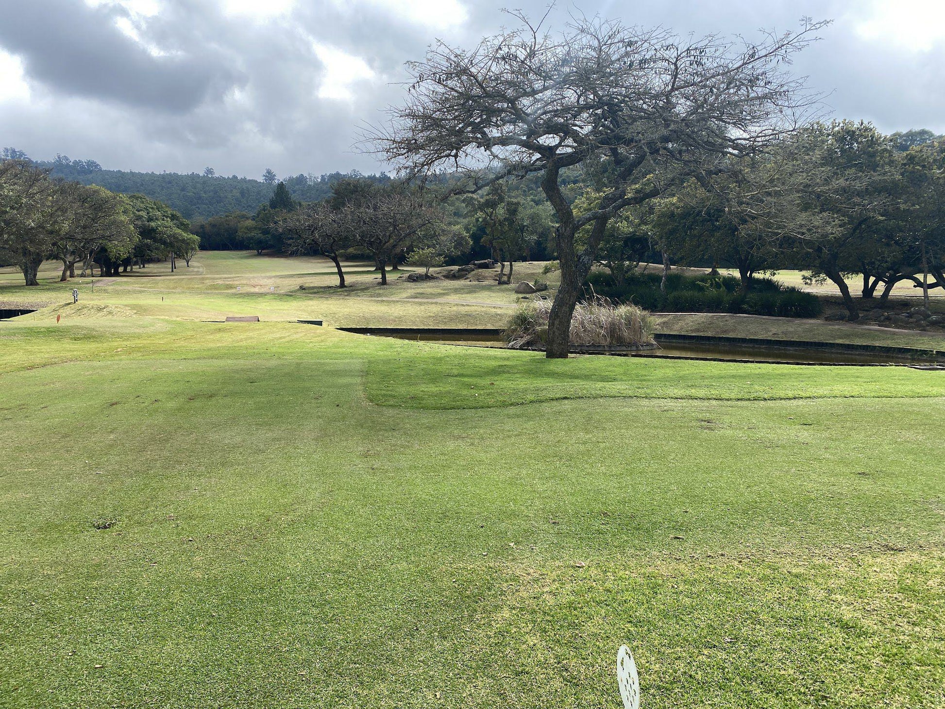 Nature, Ball Game, Sport, Golfing, Soutpansberg Golf Club, Louis Trichardt Memorial Hospital-ER Hospital St, Louis Trichardt, 0920