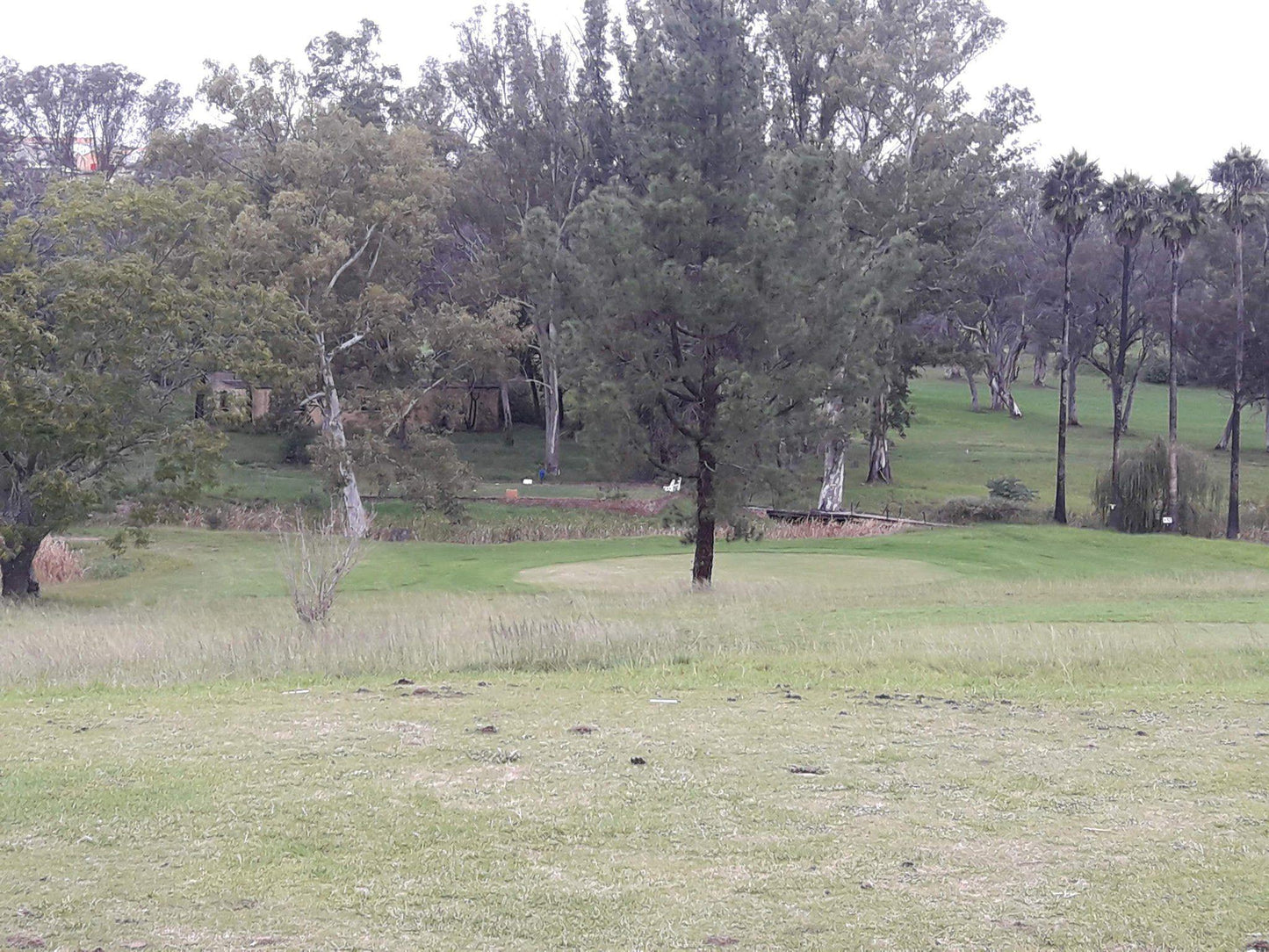 Nature, Ball Game, Sport, Golfing, Unsaturated, King William's Town Golf Club, National Road & Hargreaves Avenue, Qonce, 5601