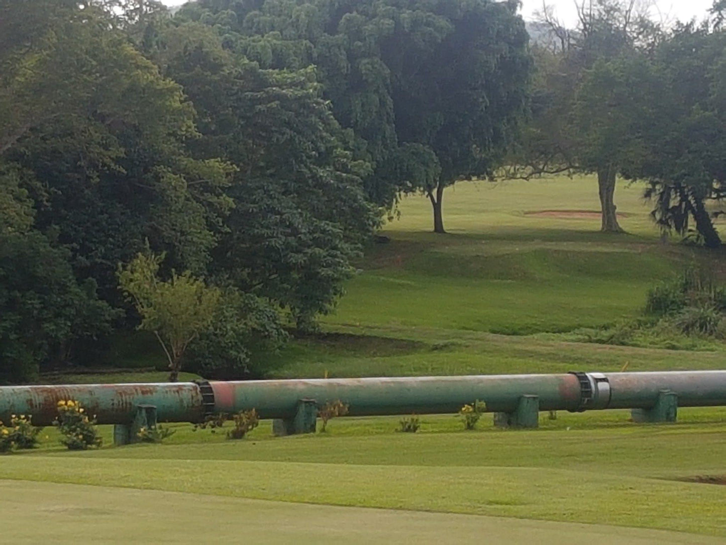 Nature, Ball Game, Sport, Golfing, Vehicle, Field, Agriculture, Tractor, Train, Malelane Golf Club, R570 Riverside Farm Rd, Mpumalanga, 1320