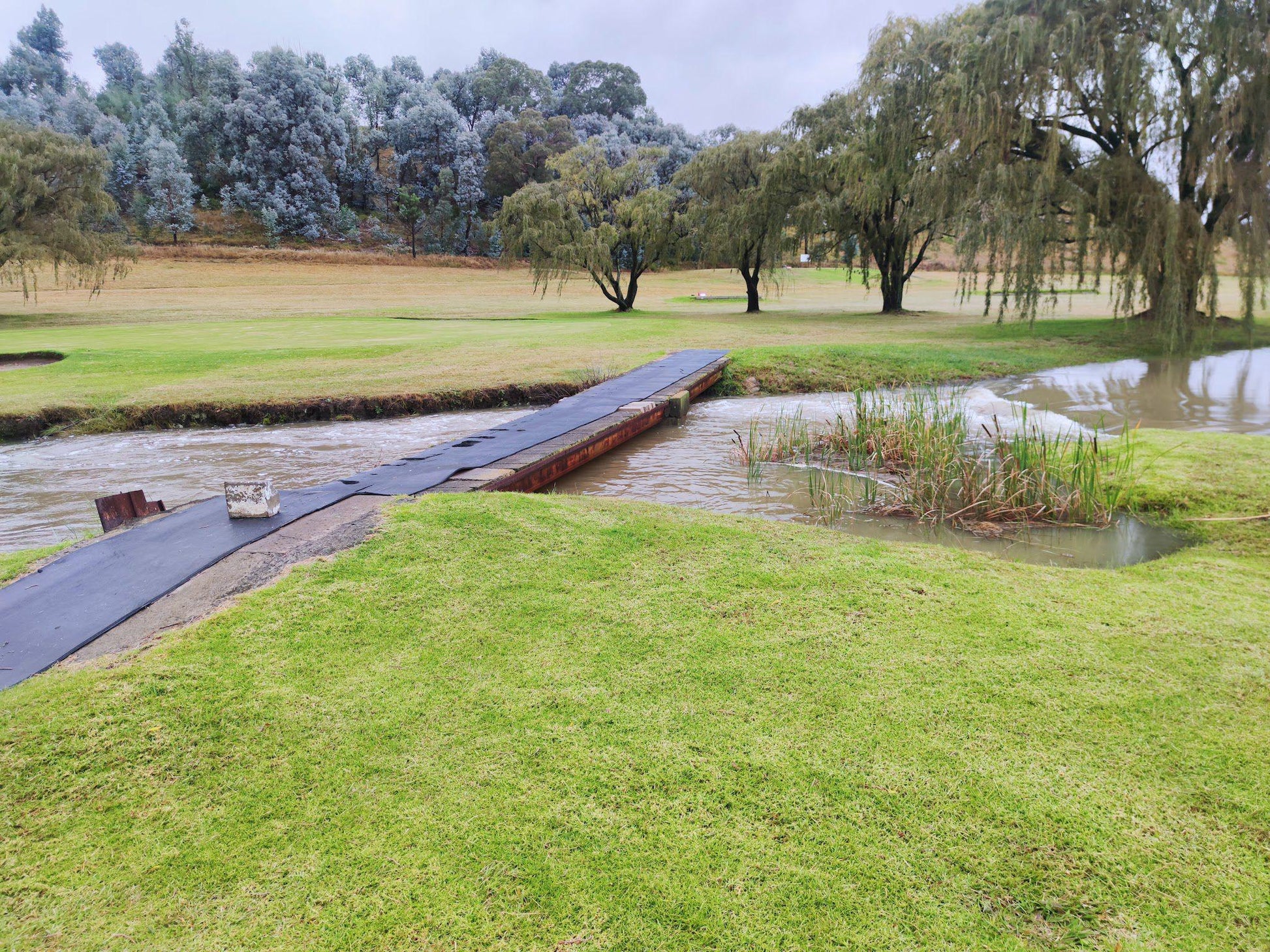 Nature, Ball Game, Sport, Golfing, Waters, River, Ermelo Country Club, 2350, Spitzkop 276-Is, Ermelo