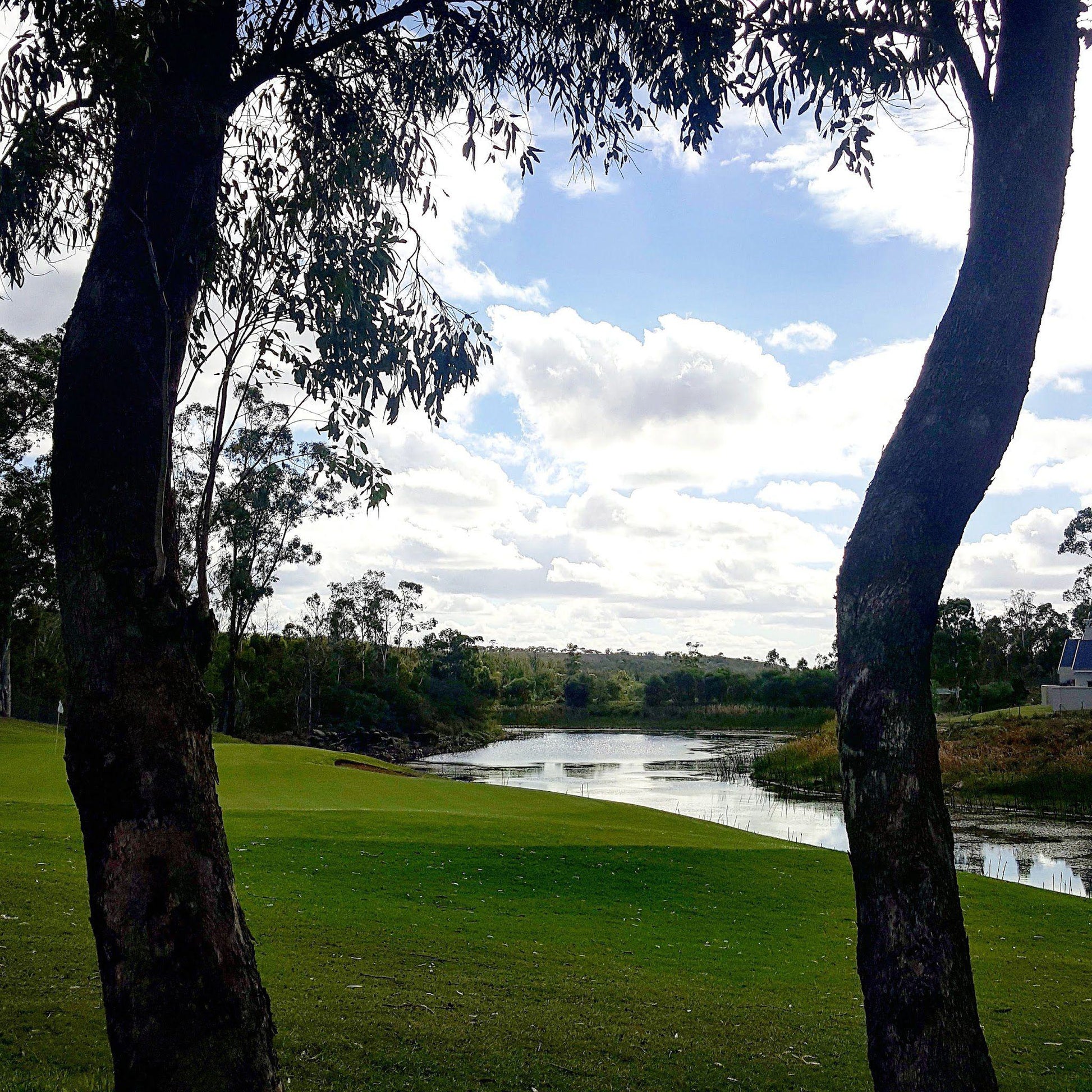 Nature, Ball Game, Sport, Golfing, Waters, River, Wedgewood Golf Course, Unnamed Road, Wedgewood Golf Estate, Gqeberha, 6390