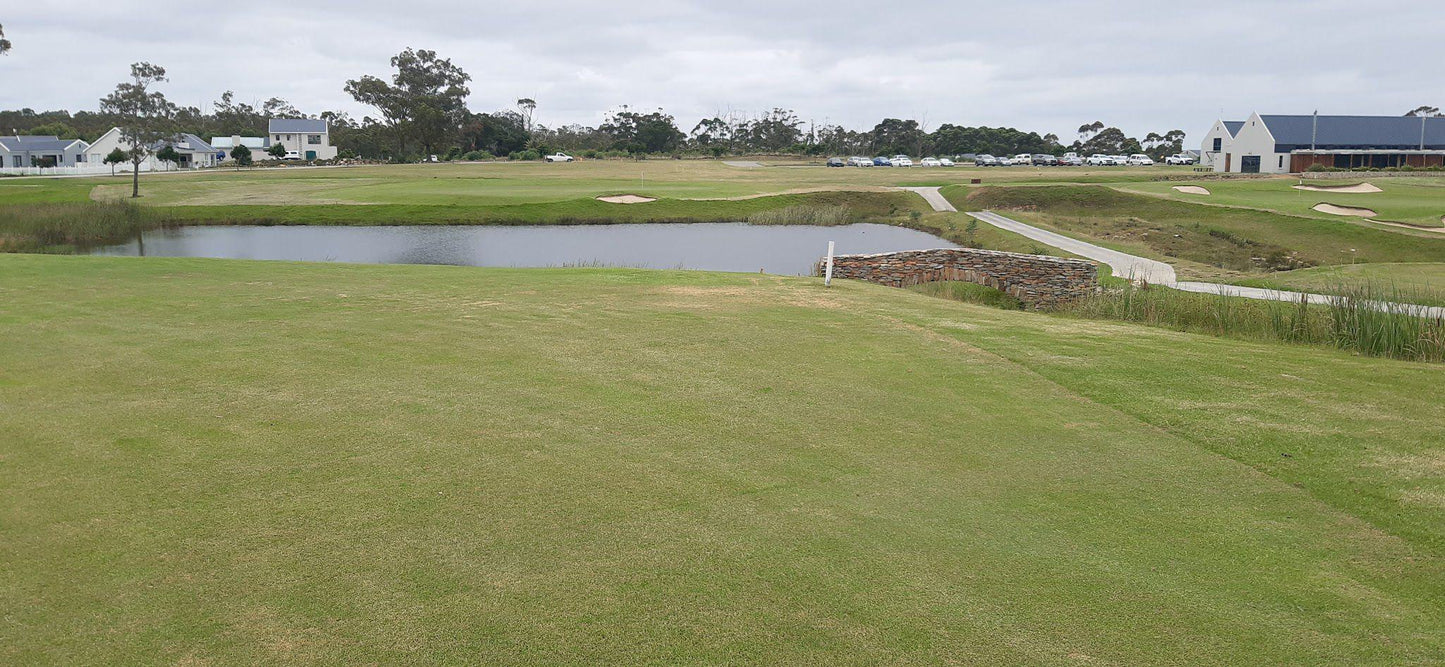 Nature, Ball Game, Sport, Golfing, Wedgewood Clubhouse, Unnamed Road, Wedgewood Golf Estate, Gqeberha, 6390