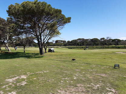 Nature, Complementary Colors, Ball Game, Sport, Golfing, Beach, Sand, King David Mowbray Golf Club, Raapenberg Rd, Mowbray, Cape Town, 7450