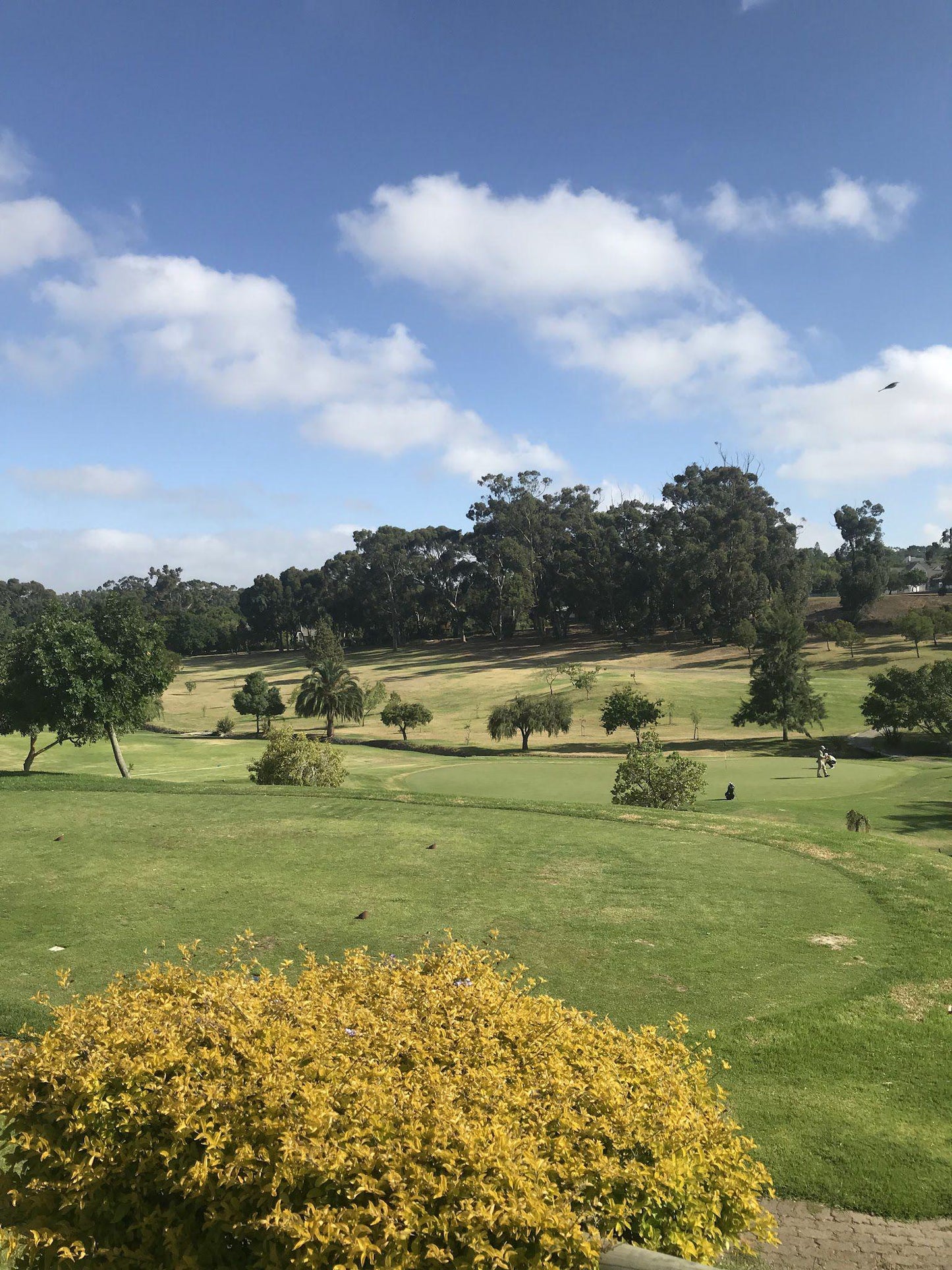 Nature, Complementary Colors, Ball Game, Sport, Golfing, Bellville Golf Club, Jip De Jager Dr, Welgemoed, Cape Town, 7538