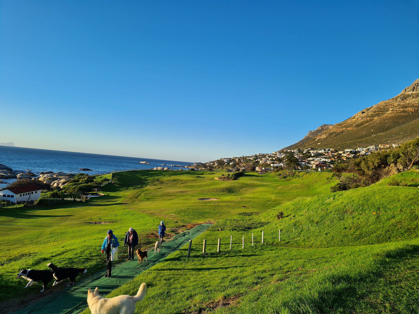 Nature, Complementary Colors, Ball Game, Sport, Golfing, Colorful, Person, The Simon's Town Country Club, 306 Mcfarlane Rd, Simon's Town, Cape Town, 7995