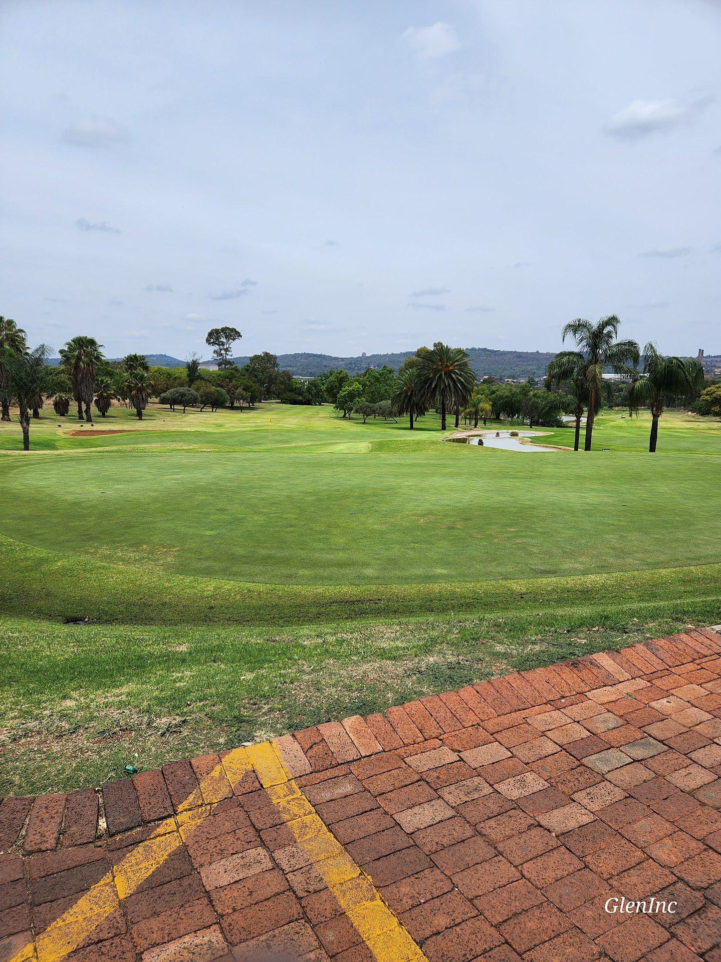 Nature, Complementary Colors, Ball Game, Sport, Golfing, Palm Tree, Plant, Wood, Pretoria Golf Club, Morkel St E, Philip Nel Park, Pretoria, 0029