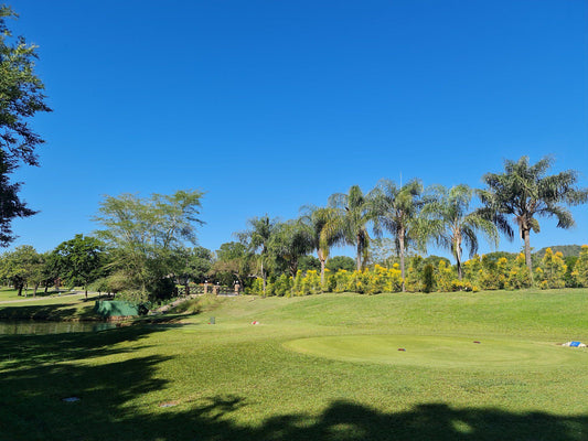 Nature, Complementary Colors, Ball Game, Sport, Golfing, Palm Tree, Plant, Wood, Sabi River Sun Resort Golf Course, R536, Sabie, 1242