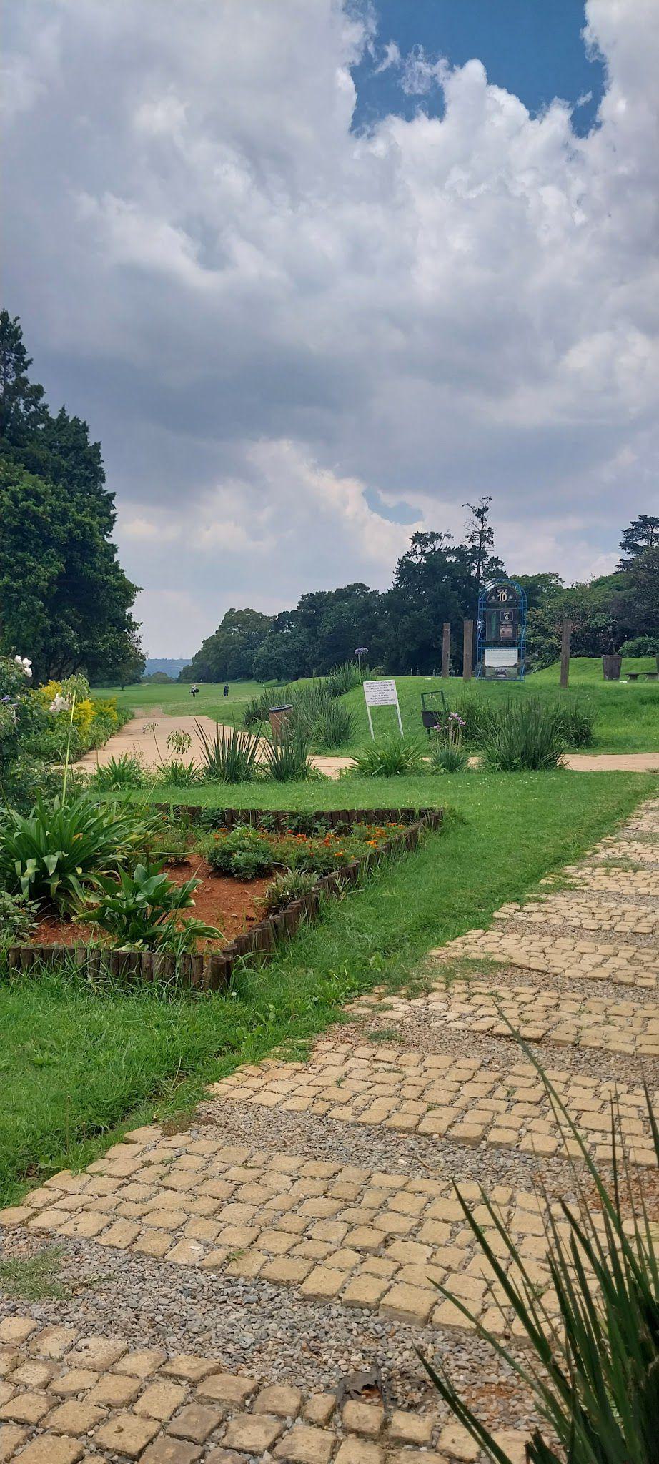 Nature, Complementary Colors, Ball Game, Sport, Golfing, Plant, Garden, Field, Agriculture, Observatory Club, Steyn St, Observatory, Johannesburg, 2198