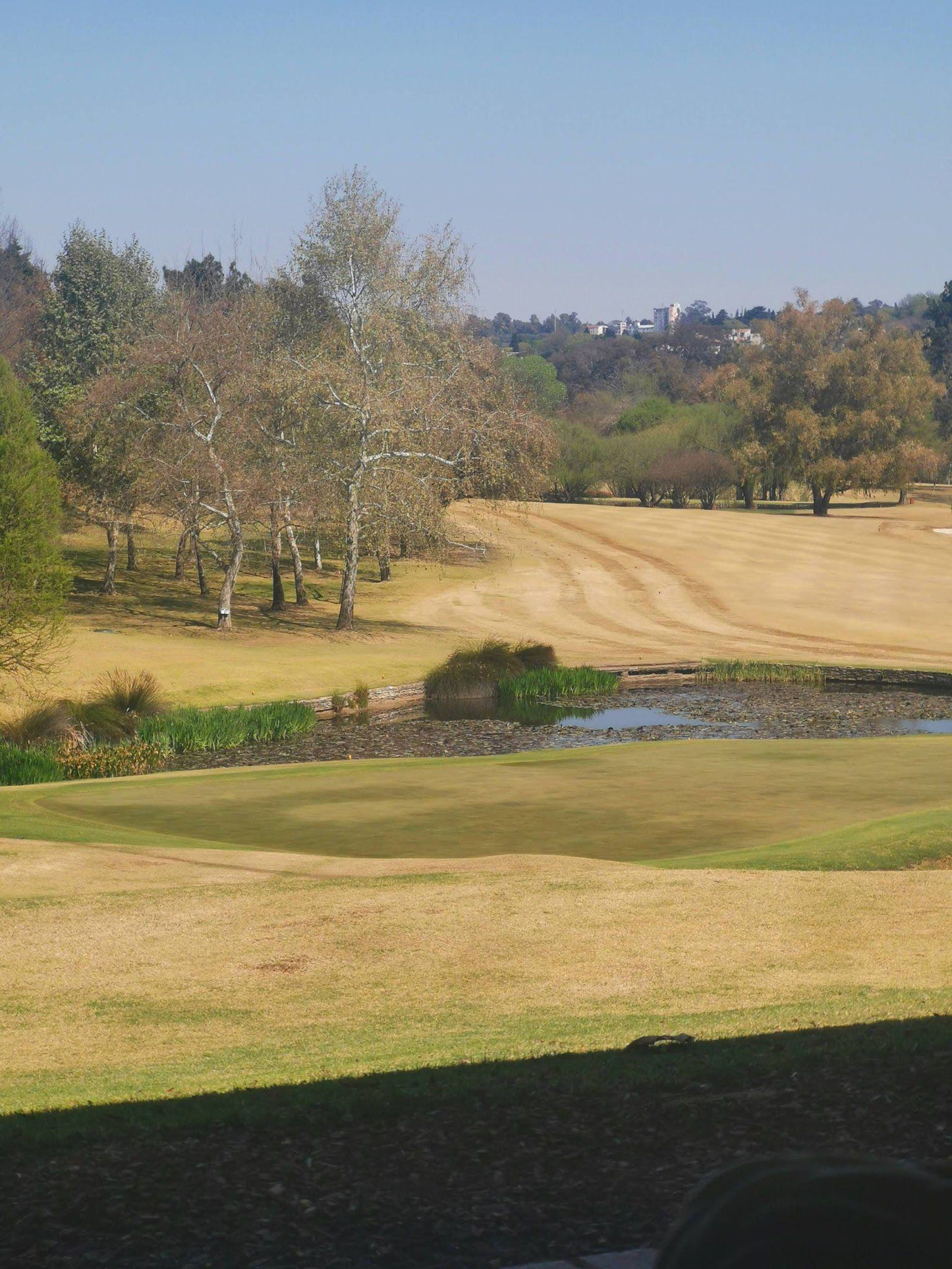 Nature, Complementary Colors, Ball Game, Sport, Golfing, Plant, Garden, The River Club Golf Course, Links Rd, Driefontein 41-Ir, Sandton, 2191